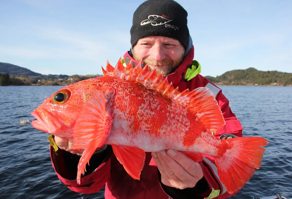 Endre med blåkjeft i solskinn på fjorden