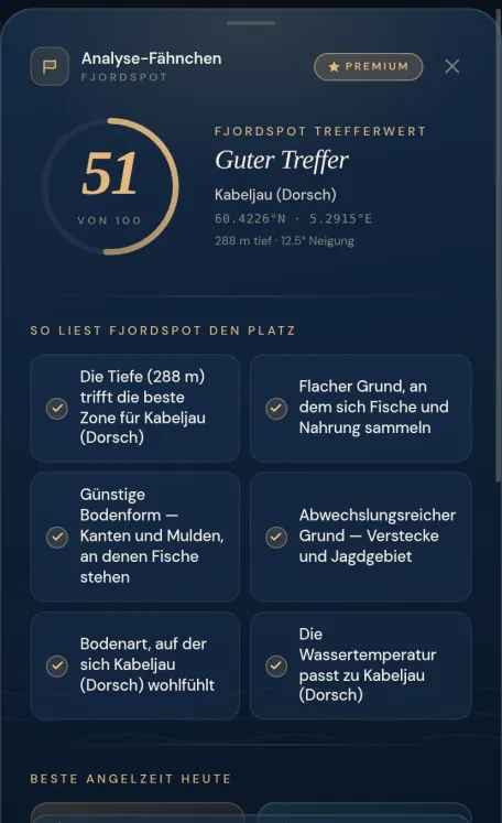 FjordSpot Trefferkarte: Trefferscore mit Begründung, warum die Stelle gut ist und beste Angelzeit auf einer Karte