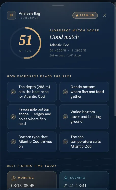 FjordSpot match card: match score with reasoning, why the spot is good and the best fishing time on one card