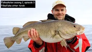 Fiskeskolen S1E1: Pilkefiske etter torsk