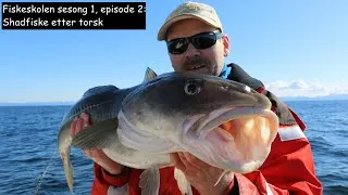 Fiskeskolen S1E2: Shadfiske etter torsk