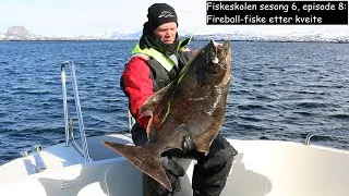 Fiskeskolen S6E8: Fireball-fiske etter kveite