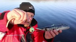Fiskeskolen: Slik lager du en Fireball